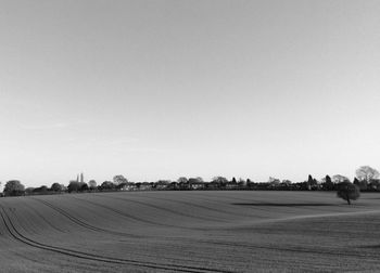 Scenic view of agricultural field against clear sky