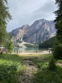 Panoramic view of waterfall in forest