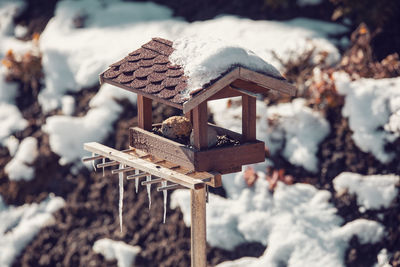 Close-up of frozen wood on field during winter