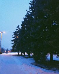 Road amidst trees against clear sky at night