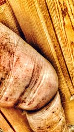 Full frame shot of bread