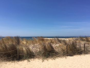 Scenic view of beach against clear blue sky