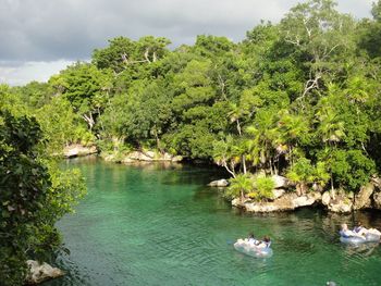 Scenic view of lake by trees against sky