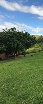 Trees on field against sky