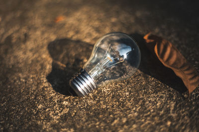 High angle view of light bulb on table