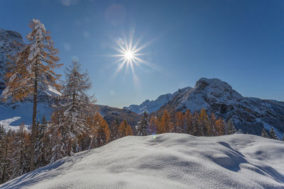 Awesome winter panorama with autumn colored larch forest, dolomites, italy