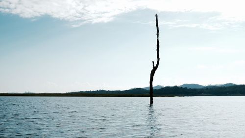 Scenic shot of calm lake