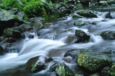 Stream flowing through rocks in forest