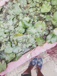 Low section of person standing by plants