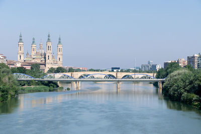 Flowes, animals and brigdes from zaragoza, flores, animales y puentes de zaragoza, brigdes, puentes.