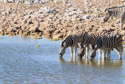 View of drinking water from lake