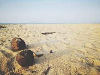 Scenic view of beach against clear sky