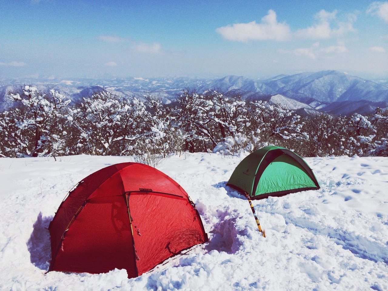 용평리조트 드래곤피크 (Dragon Peak)