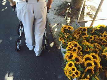 Low section of person on yellow flower