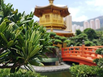 Plants against trees and building against sky