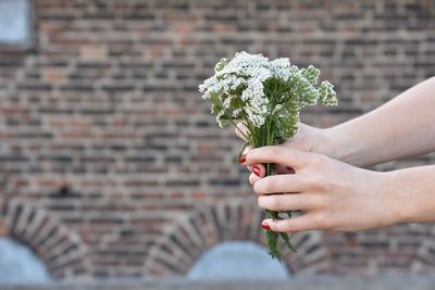 Cropped hands of woman holding flowers against building