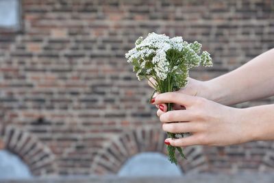 Midsection of woman holding red flower