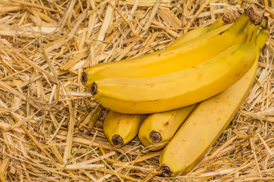 High angle view of yellow fruits for sale