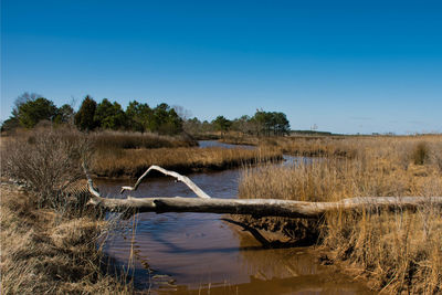 Scenic view of lake against clear sky