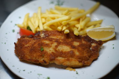 Close-up of meal served in plate