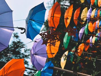 Low angle view of multi colored umbrellas