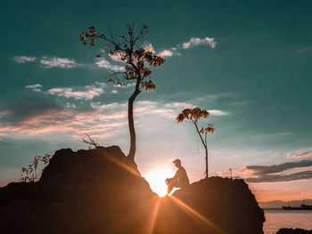 Silhouette tree by rocks against sky during sunset