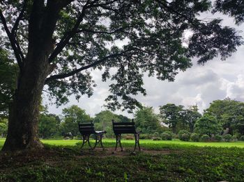 Empty bench on field by trees against sky