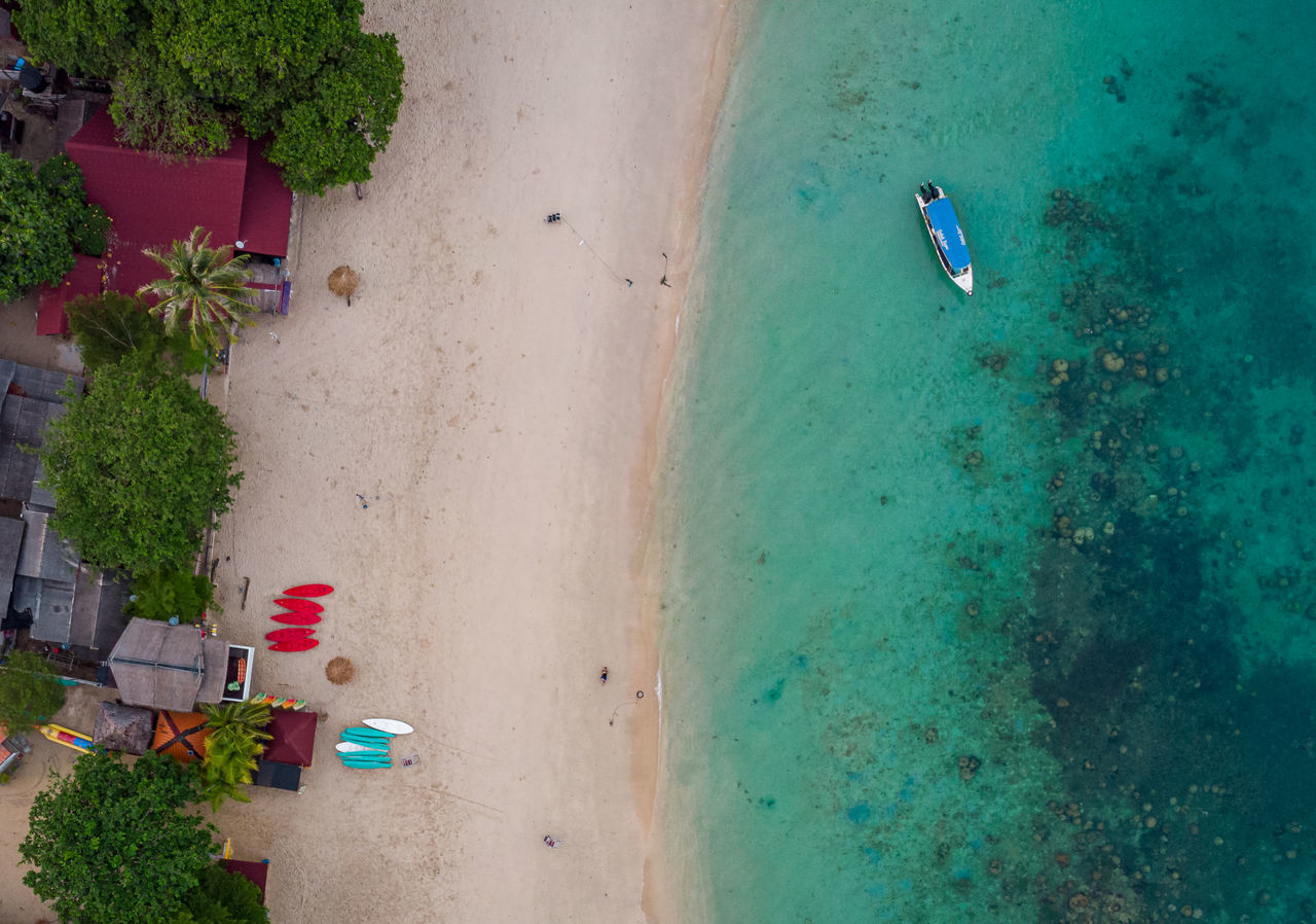 HIGH ANGLE VIEW OF PLANTS ON SHORE AT BEACH