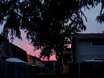 Low angle view of tree and building against sky at dusk