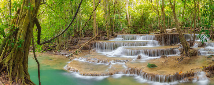 Scenic view of waterfall in forest