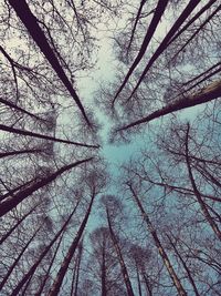 Low angle view of bare trees against sky