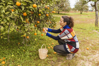 Full length of woman holding apple in basket