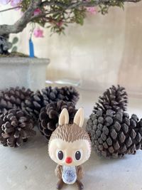 conifer cone