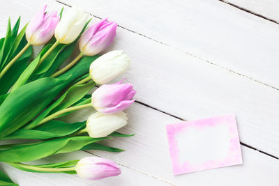 High angle view of pink tulip on table