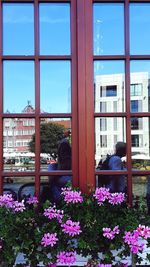 Purple flowering plants seen through window