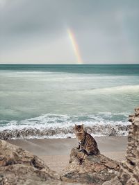 Scenic view of sea against sky