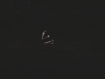 Portrait of woman against black background