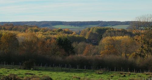 Scenic view of field against sky