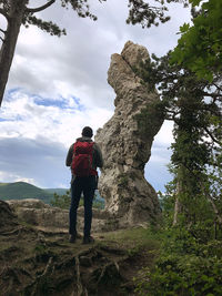 Man looks at a natural monument