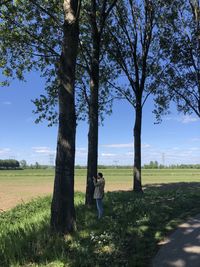 Trees on land against sky