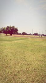 Scenic view of grassy field against sky