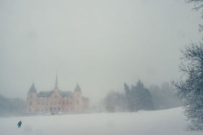 Trees and buildings against sky during winter