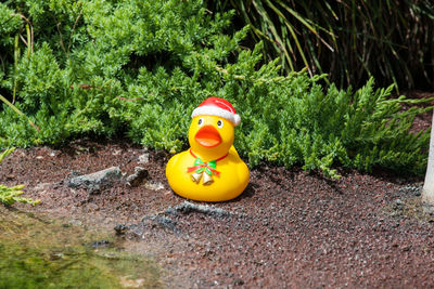 Close-up of yellow statue on plant