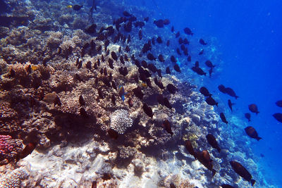 underwater