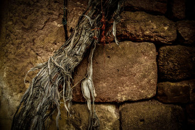 Close-up of stone wall