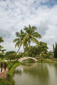 Scenic view of palm trees against sky