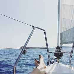 Low angle view of sailboat sailing on sea against clear sky