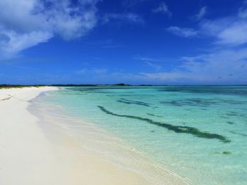 Scenic view of sea against blue sky