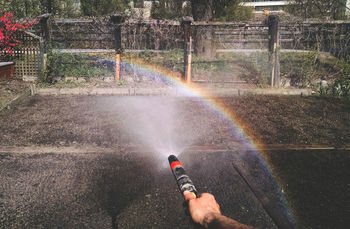 Cropped image of hand sprinkling water on street