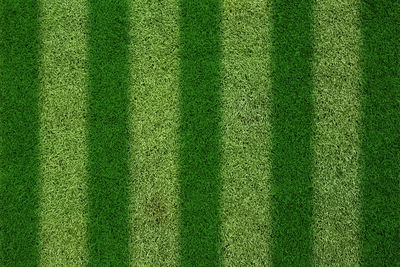 Full frame shot of grass on field